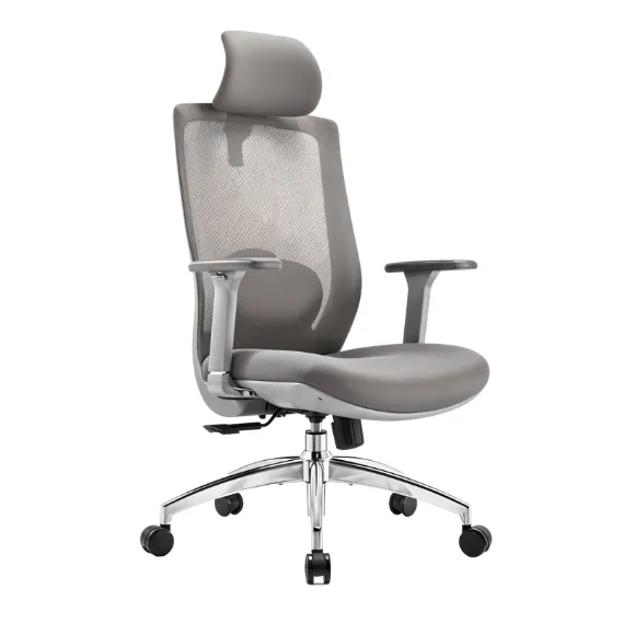 How to Choose the Best Ergonomic Office Chair