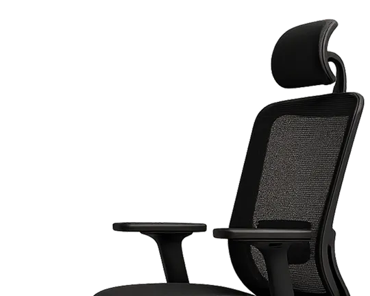 Ergo Chairs